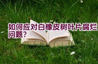 如何应对白橡皮树叶片腐烂问题？