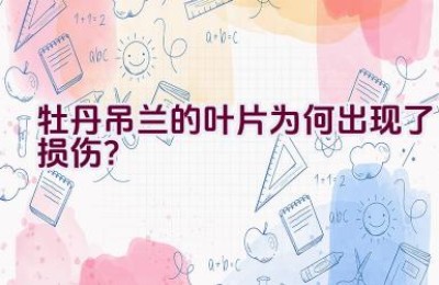 牡丹吊兰的叶片为何出现了损伤？