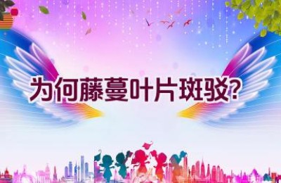 为何藤蔓叶片斑驳？