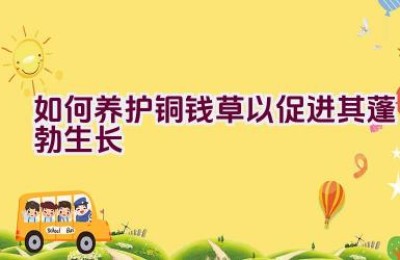 如何养护铜钱草以促进其蓬勃生长