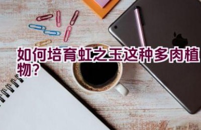 如何培育虹之玉这种多肉植物？