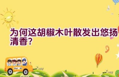 为何这胡椒木叶散发出悠扬清香？