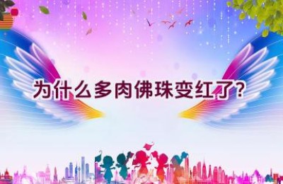 为什么多肉佛珠变红了？