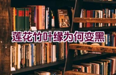 莲花竹叶缘为何变黑