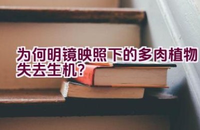 为何明镜映照下的多肉植物失去生机？