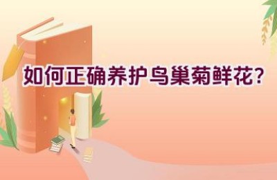 如何正确养护鸟巢菊鲜花？