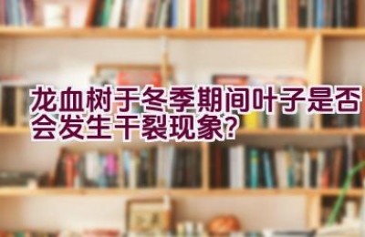 龙血树于冬季期间叶子是否会发生干裂现象？