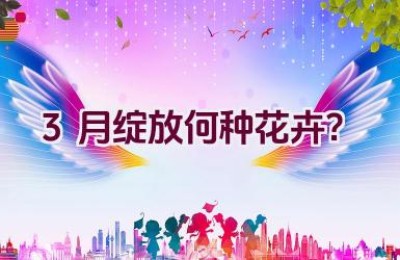 3月绽放何种花卉？