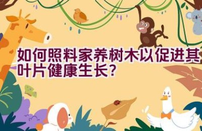 如何照料家养树木以促进其叶片健康生长？