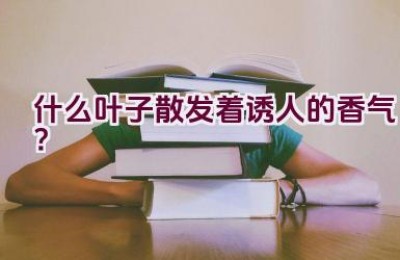 什么叶子散发着诱人的香气？
