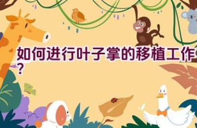 如何进行叶子掌的移植工作？