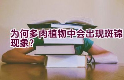 为何多肉植物中会出现斑锦现象？