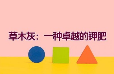 草木灰：一种卓越的钾肥