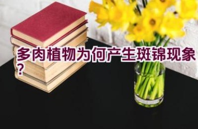 多肉植物为何产生斑锦现象？