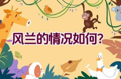 风兰的情况如何？