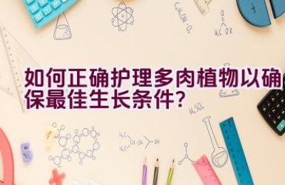 如何正确护理多肉植物以确保最佳生长条件？