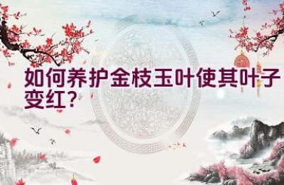 如何养护金枝玉叶使其叶子变红？