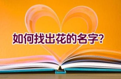 如何找出花的名字？