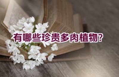 “有哪些珍贵多肉植物？”