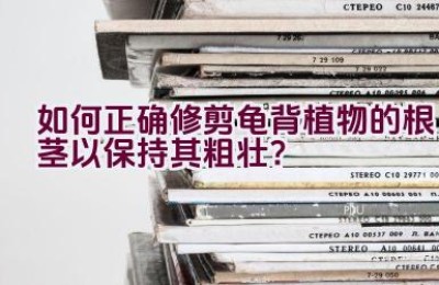 如何正确修剪龟背植物的根茎以保持其粗壮？