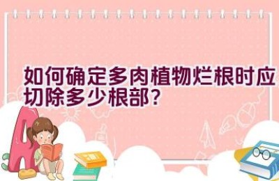 如何确定多肉植物烂根时应切除多少根部？