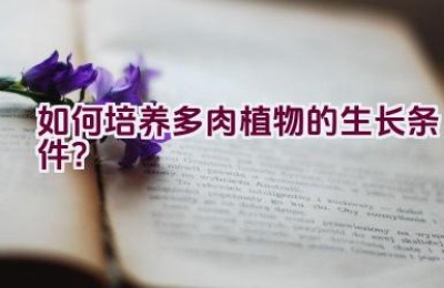 如何培养多肉植物的生长条件？