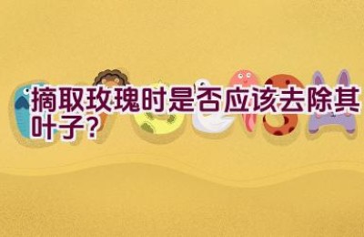摘取玫瑰时是否应该去除其叶子？