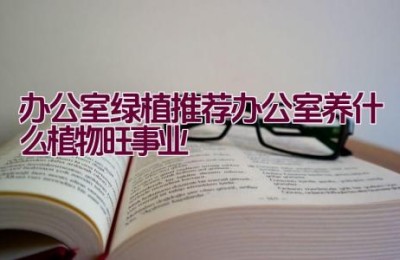 办公室绿植推荐（办公室养什么植物旺事业）