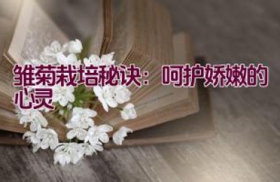 雏菊栽培秘诀：呵护娇嫩的心灵