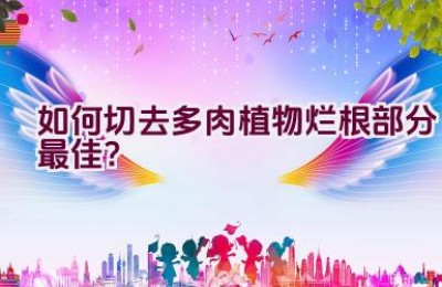 如何切去多肉植物烂根部分最佳？