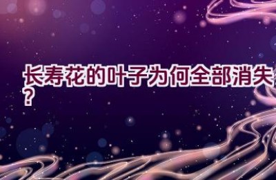 长寿花的叶子为何全部消失？