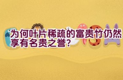 为何叶片稀疏的富贵竹仍然享有名贵之誉？