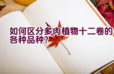 如何区分多肉植物十二卷的各种品种？