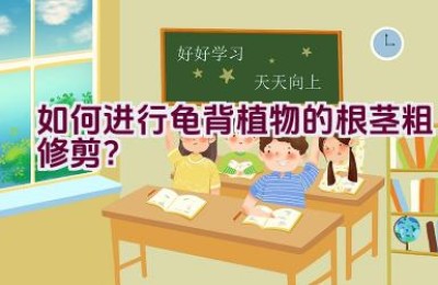 如何进行龟背植物的根茎粗修剪？