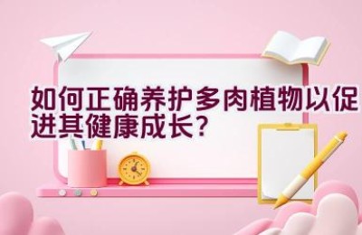 如何正确养护多肉植物以促进其健康成长？