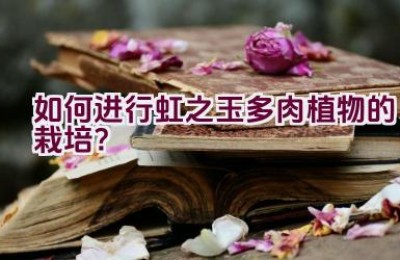 如何进行虹之玉多肉植物的栽培？