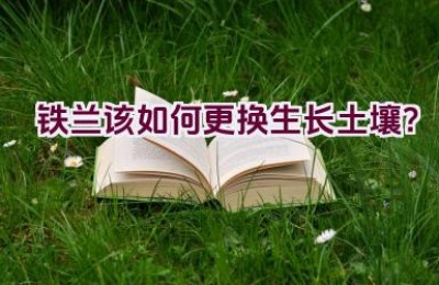 铁兰该如何更换生长土壤？