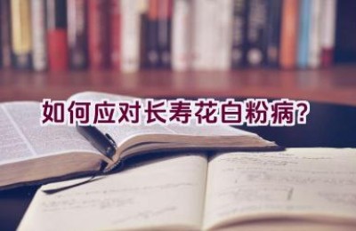 如何应对长寿花白粉病？