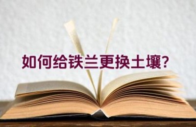 如何给铁兰更换土壤？