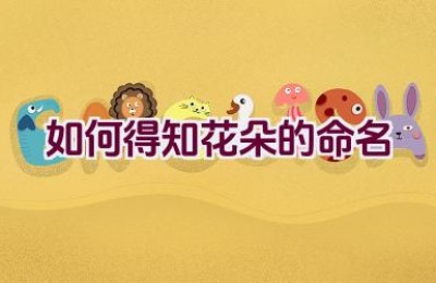 如何得知花朵的命名