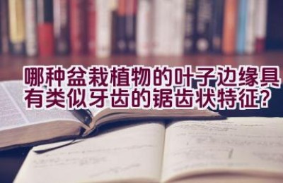 哪种盆栽植物的叶子边缘具有类似牙齿的锯齿状特征？