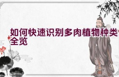 如何快速识别多肉植物种类全览