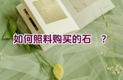 如何照料购买的石斍？