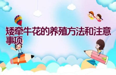 矮牵牛花的养殖方法和注意事项