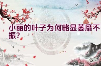 小丽的叶子为何略显萎靡不振？