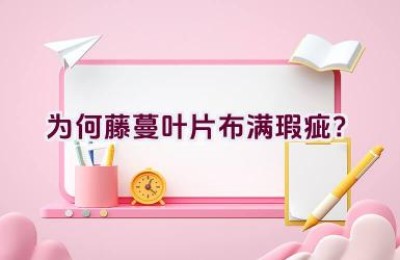 为何藤蔓叶片布满瑕疵？