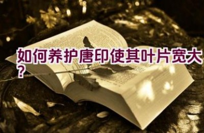 如何养护唐印使其叶片宽大？