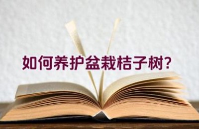 如何养护盆栽桔子树？