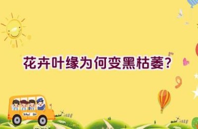 花卉叶缘为何变黑枯萎？