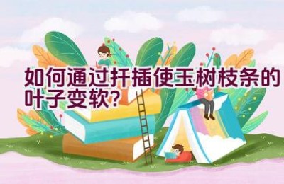 如何通过扦插使玉树枝条的叶子变软？